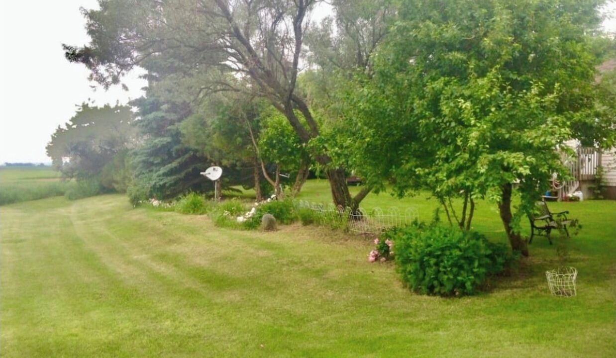 Photo of Outdoor in Pierce County