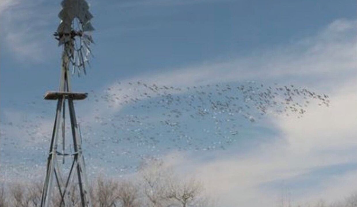 Photo of Others in Pierce County