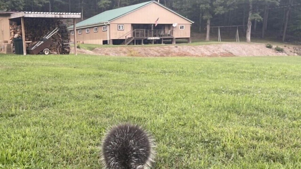 Photo of Outdoor in Howard