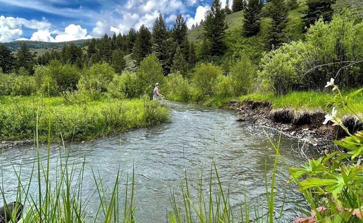 Photo of Others in Bozeman