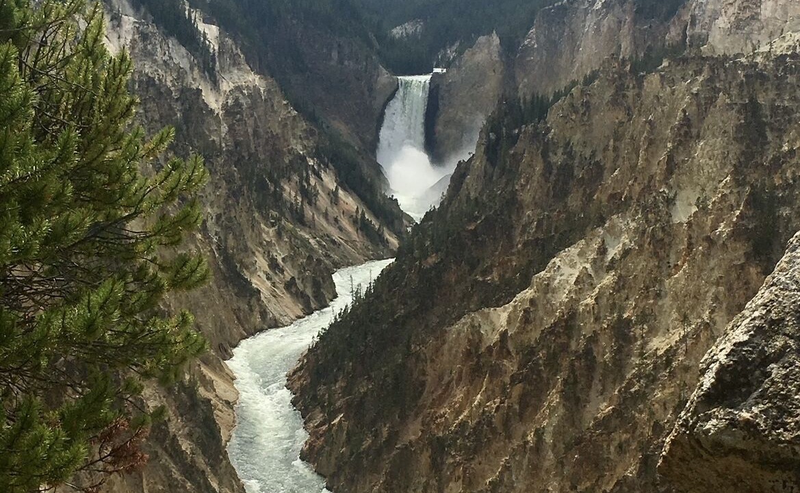 Photo of Others in Bozeman