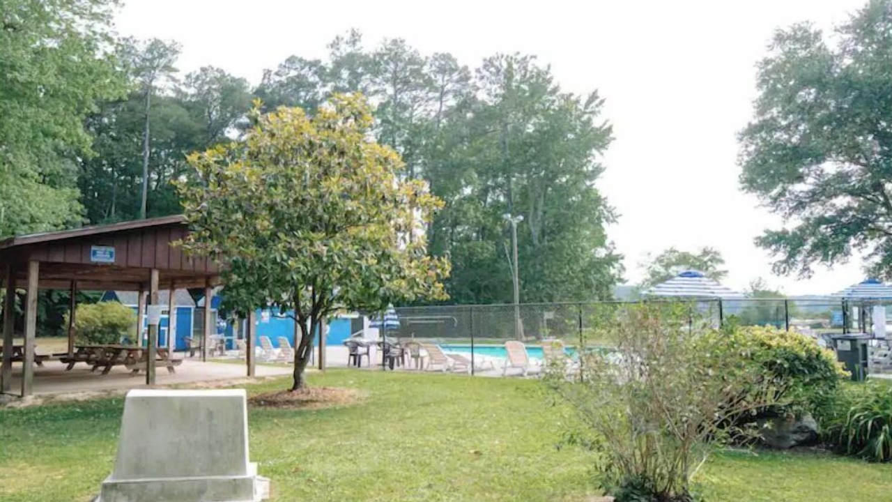 Photo of Outdoor in Olivia