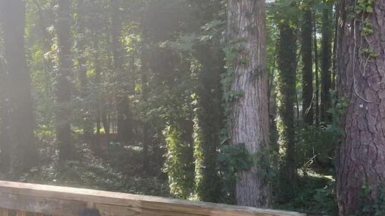 Photo of Outdoor in Olivia
