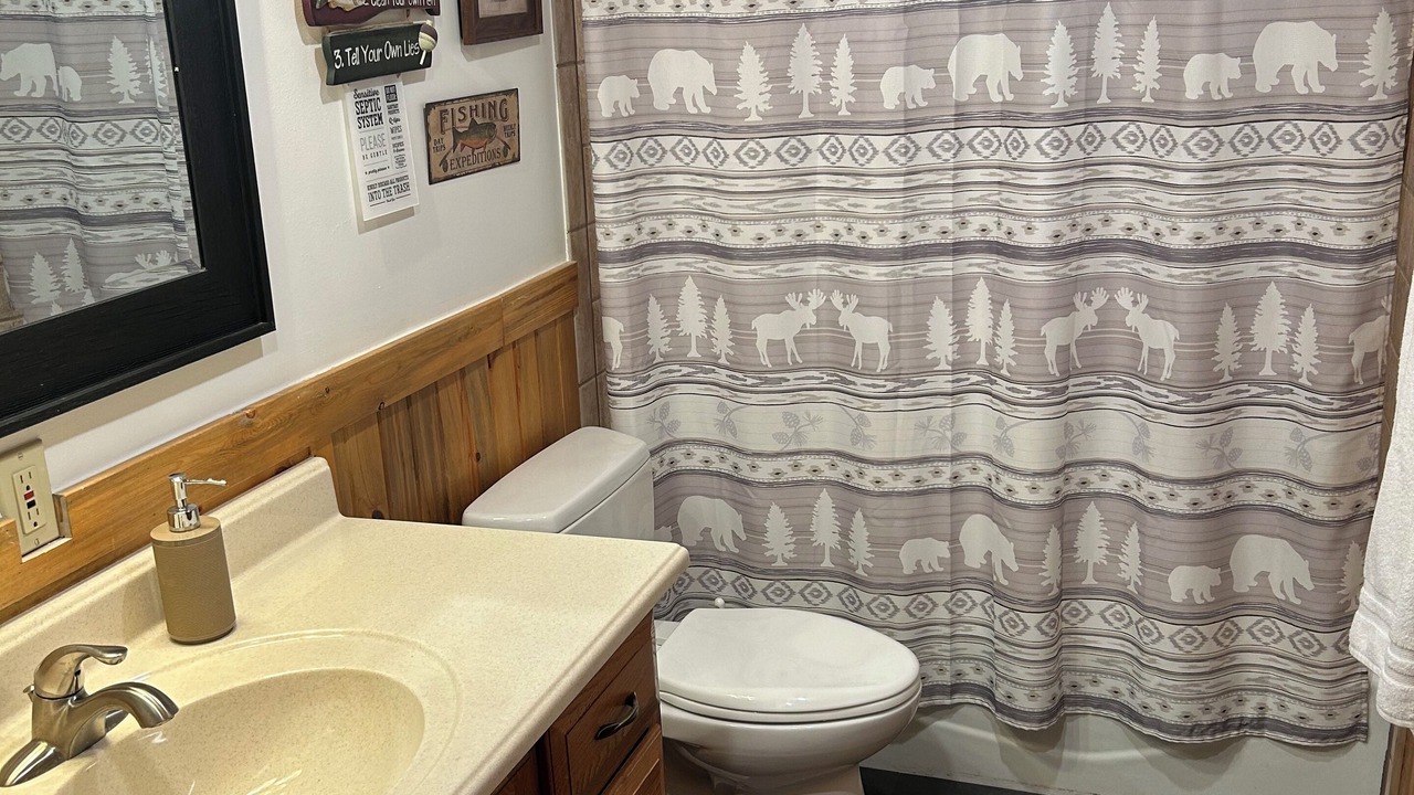 Photo of Bathroom in Seeley Lake