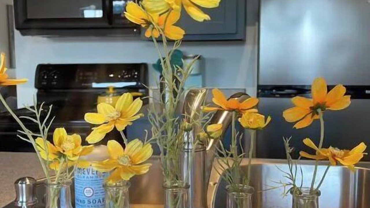 Photo of Kitchen in Tahlequah