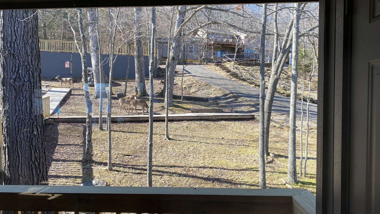 Photo of Others in Lost Bridge Village