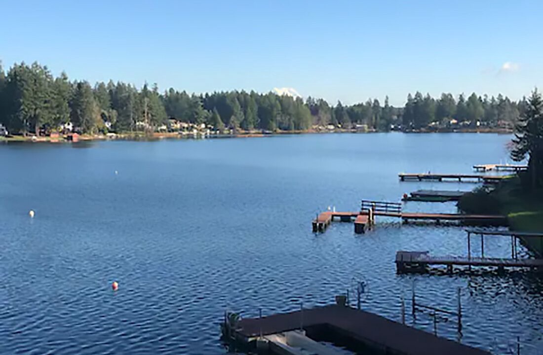 Photo of Others in Lacey