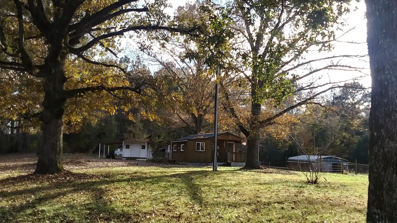 Photo of Outdoor in Adamsville