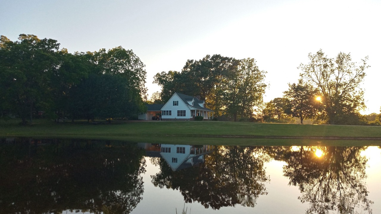 Photo of Others in Adamsville