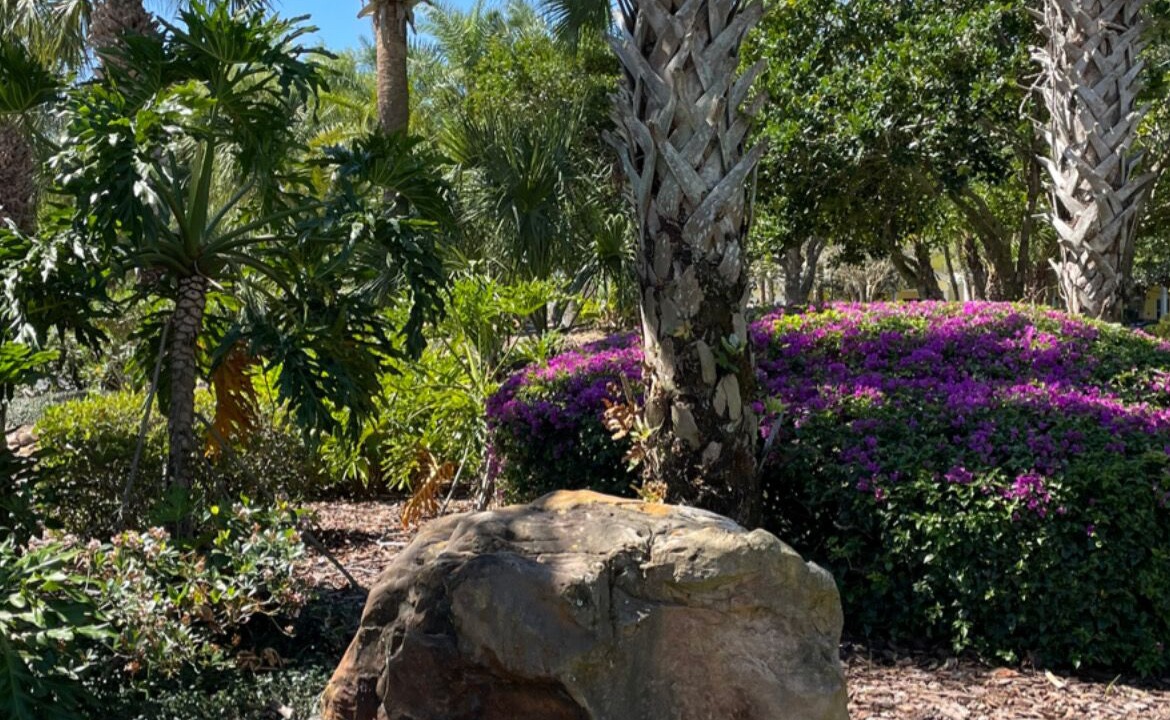 Photo of Outdoor in Bahama Bay