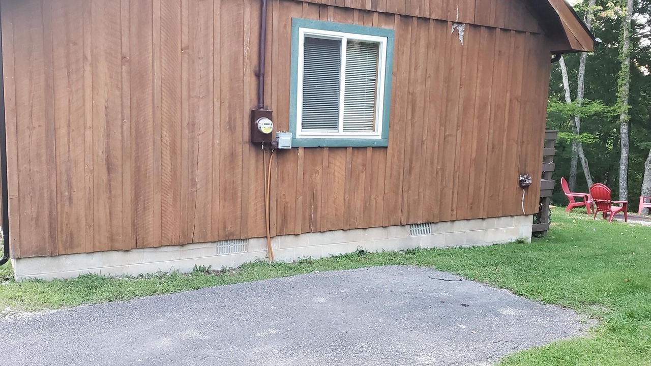 Photo of Others in Primrose