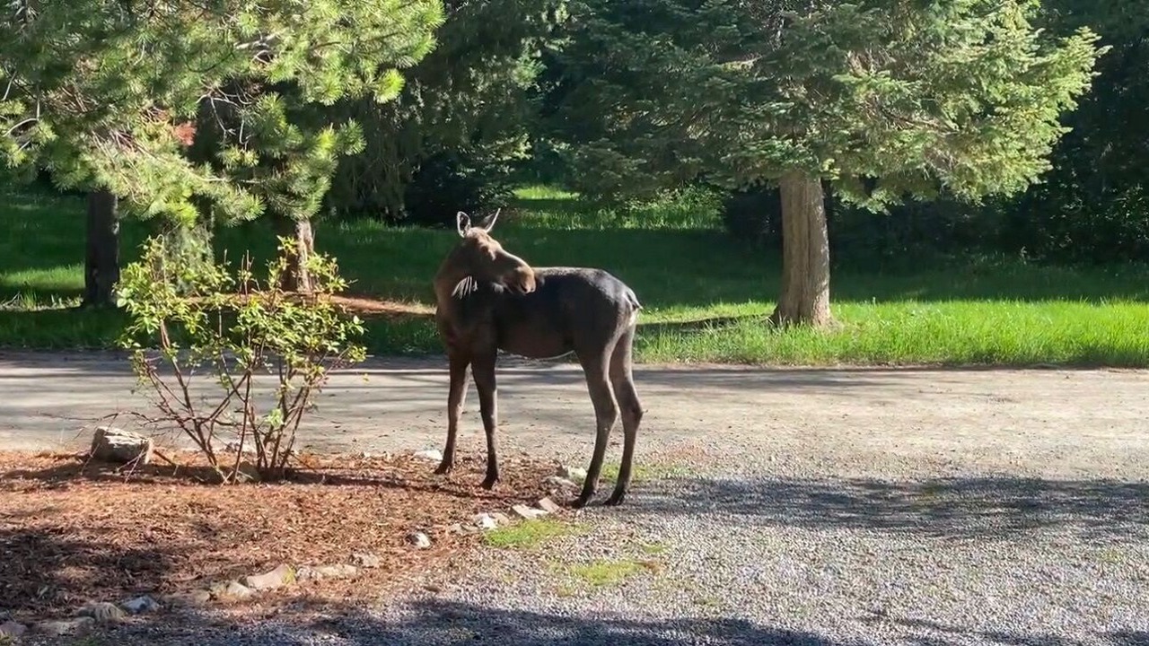 Photo of Outdoor in Alpine Northeast