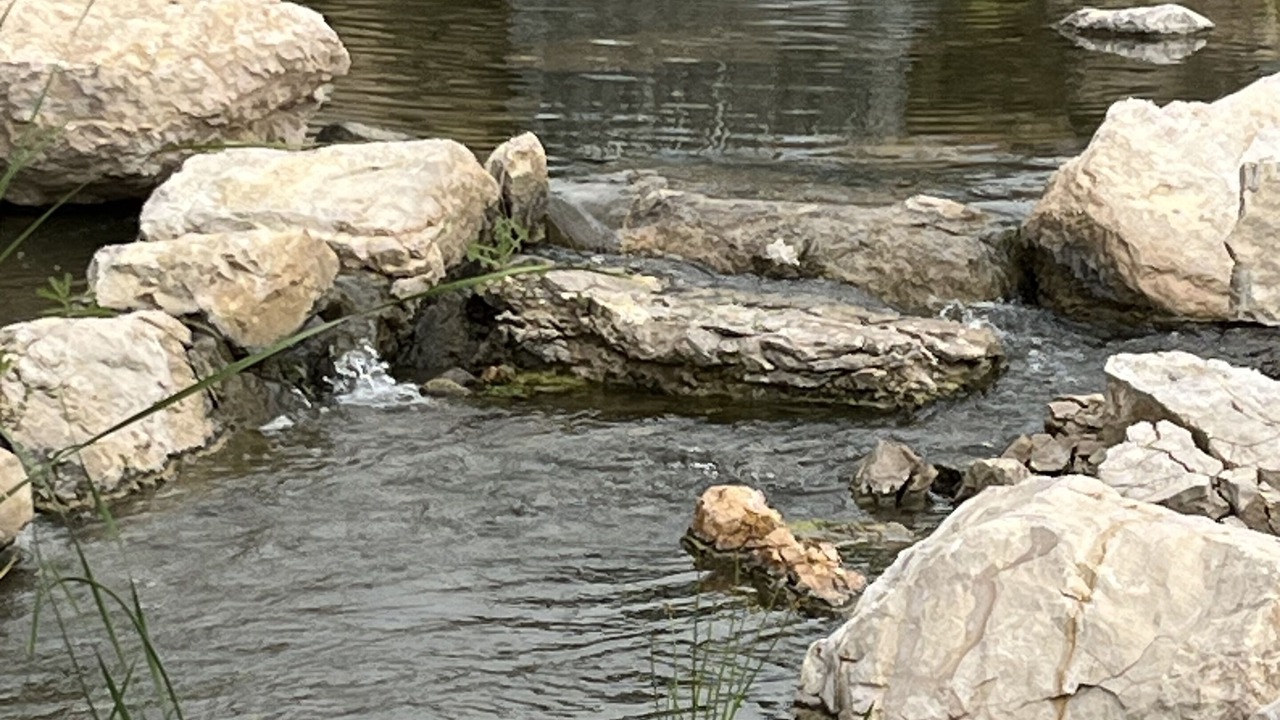 Photo of Others in Casper