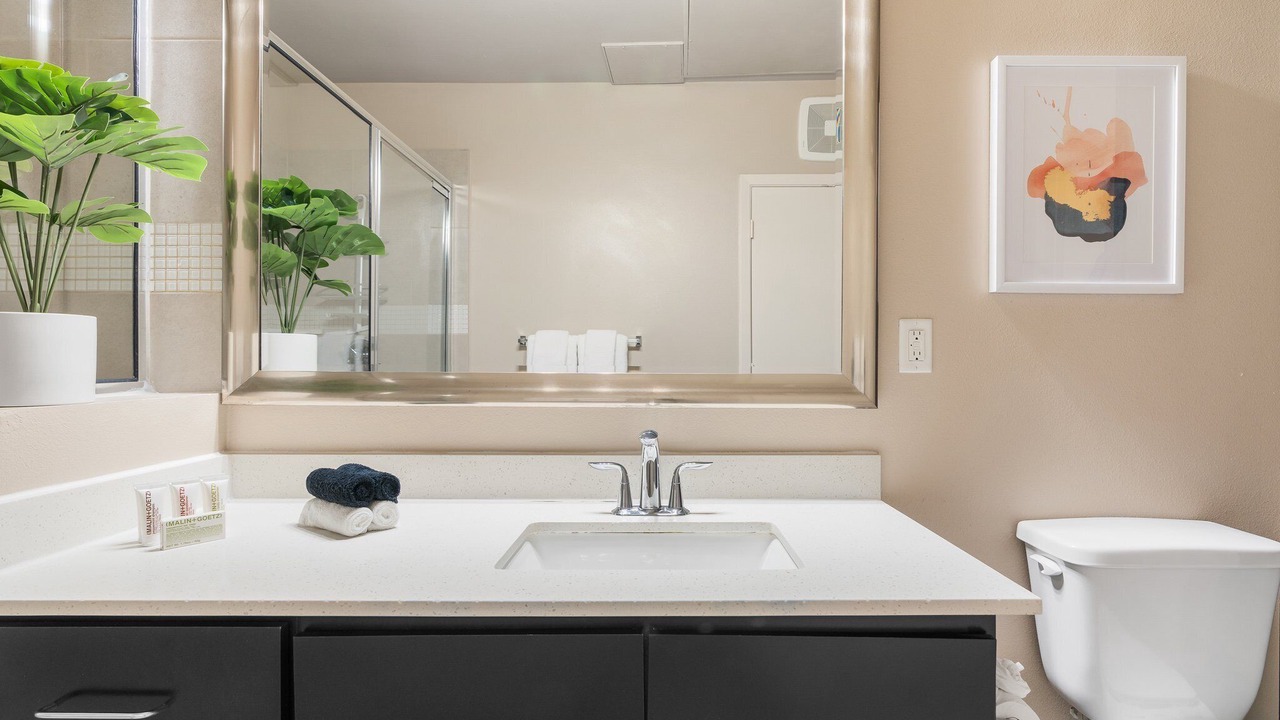 Photo of Bathroom in Texas Medical Center