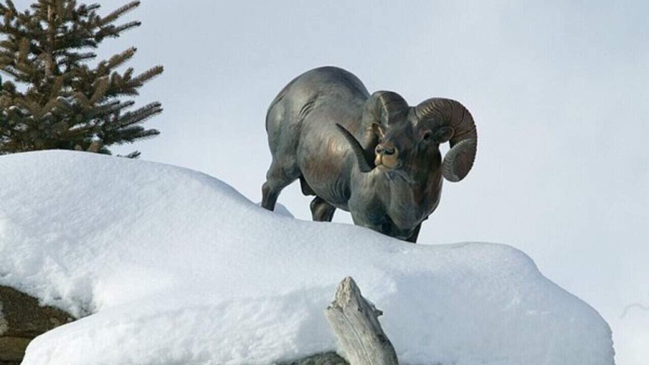 Photo of Others in West Yellowstone