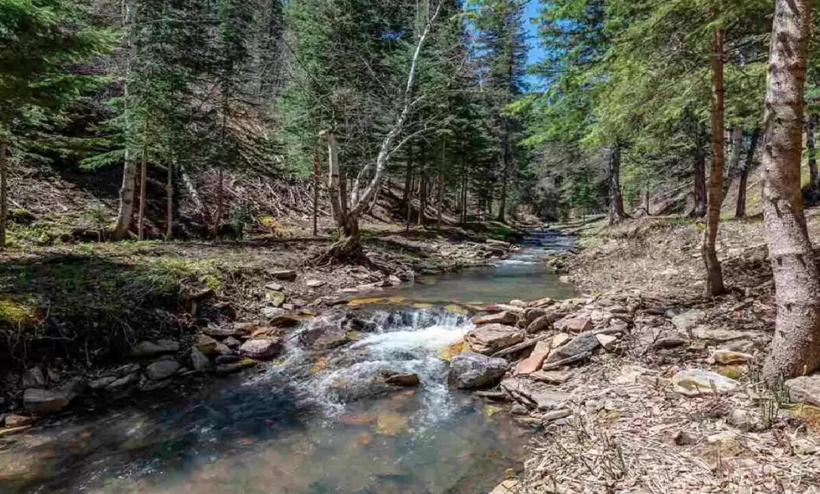 Photo of Others in Deadwood