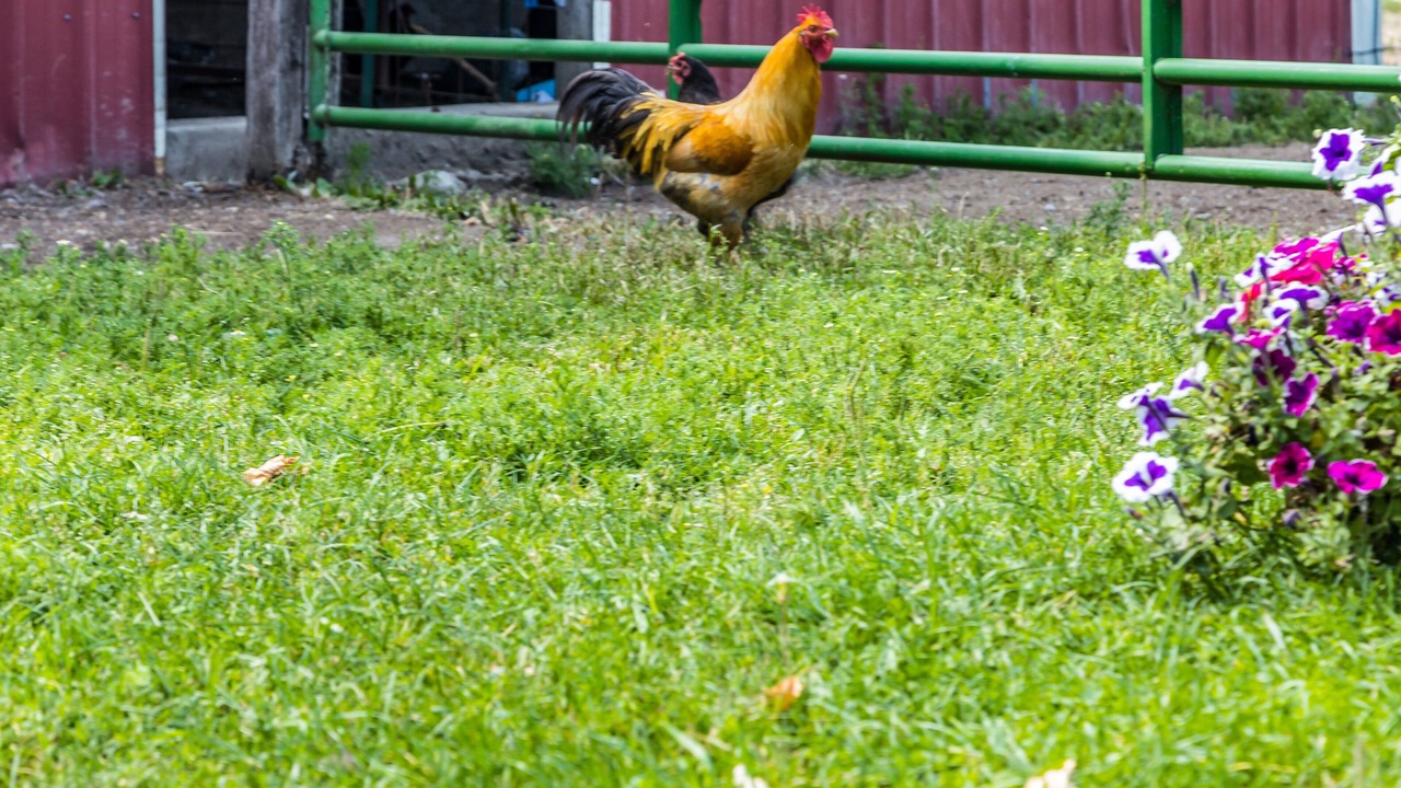 Photo of Outdoor in Athol