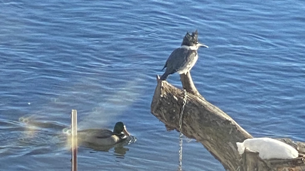Photo of Others in Thermopolis