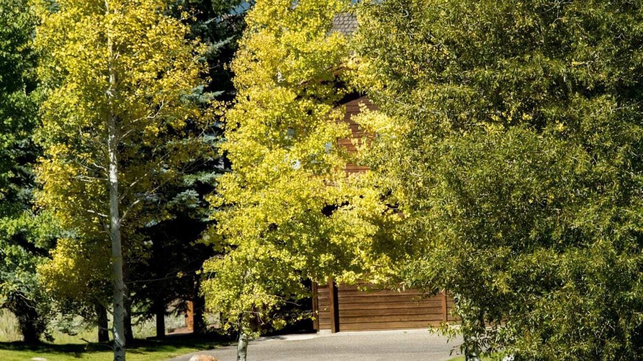 Photo of Others in Spring Creek Ranch