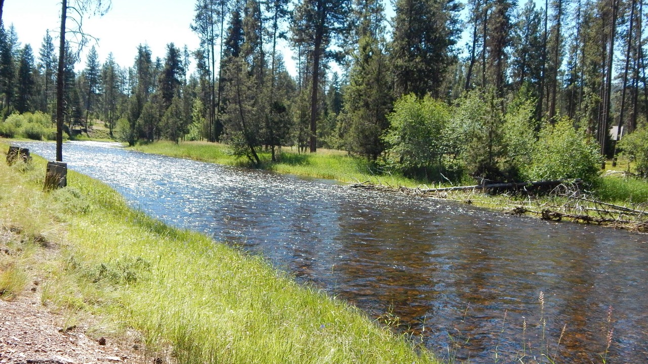 Photo of Outdoor in Seeley Lake