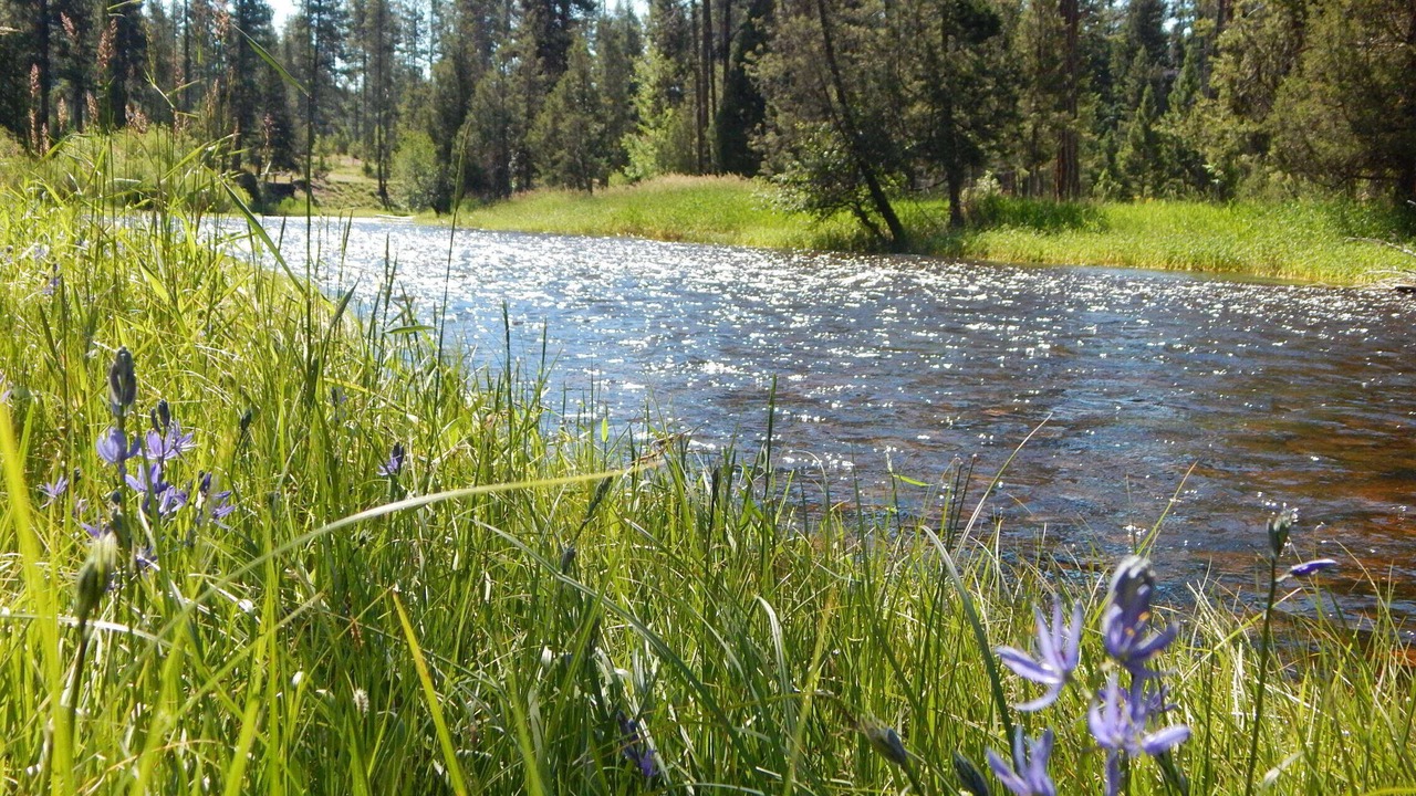 Photo of Outdoor in Seeley Lake