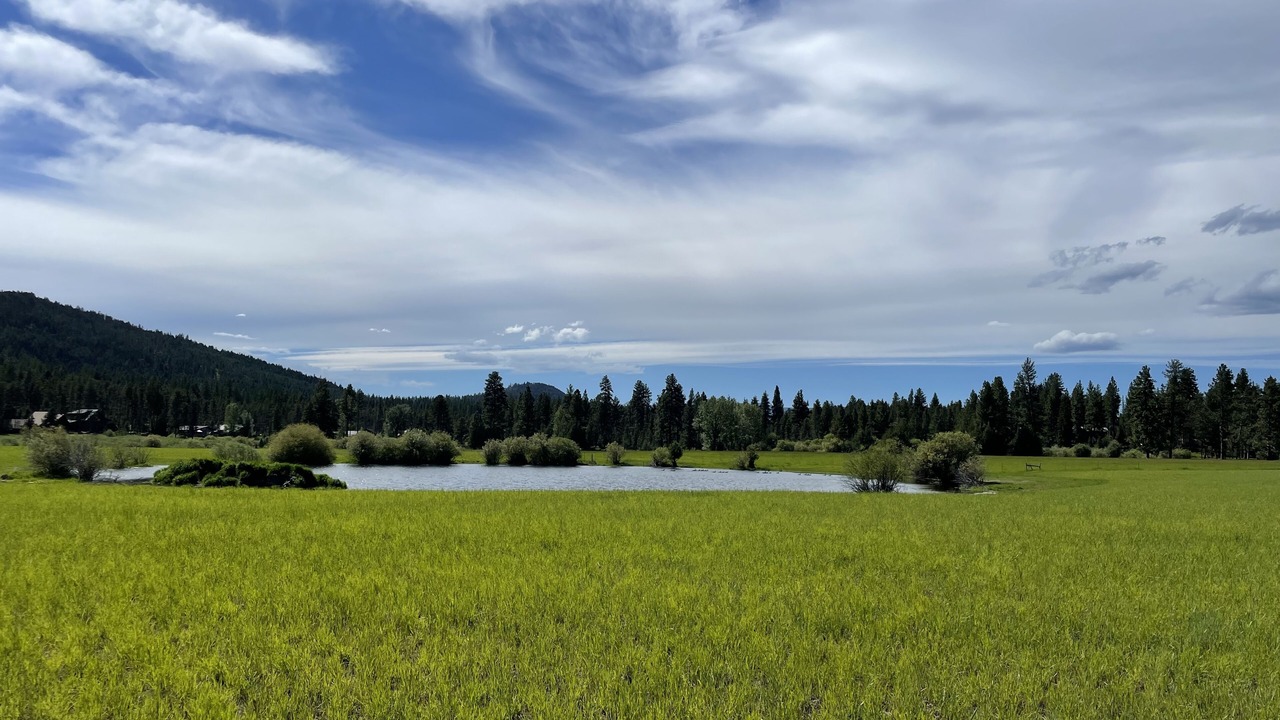 Photo of Others in Seeley Lake