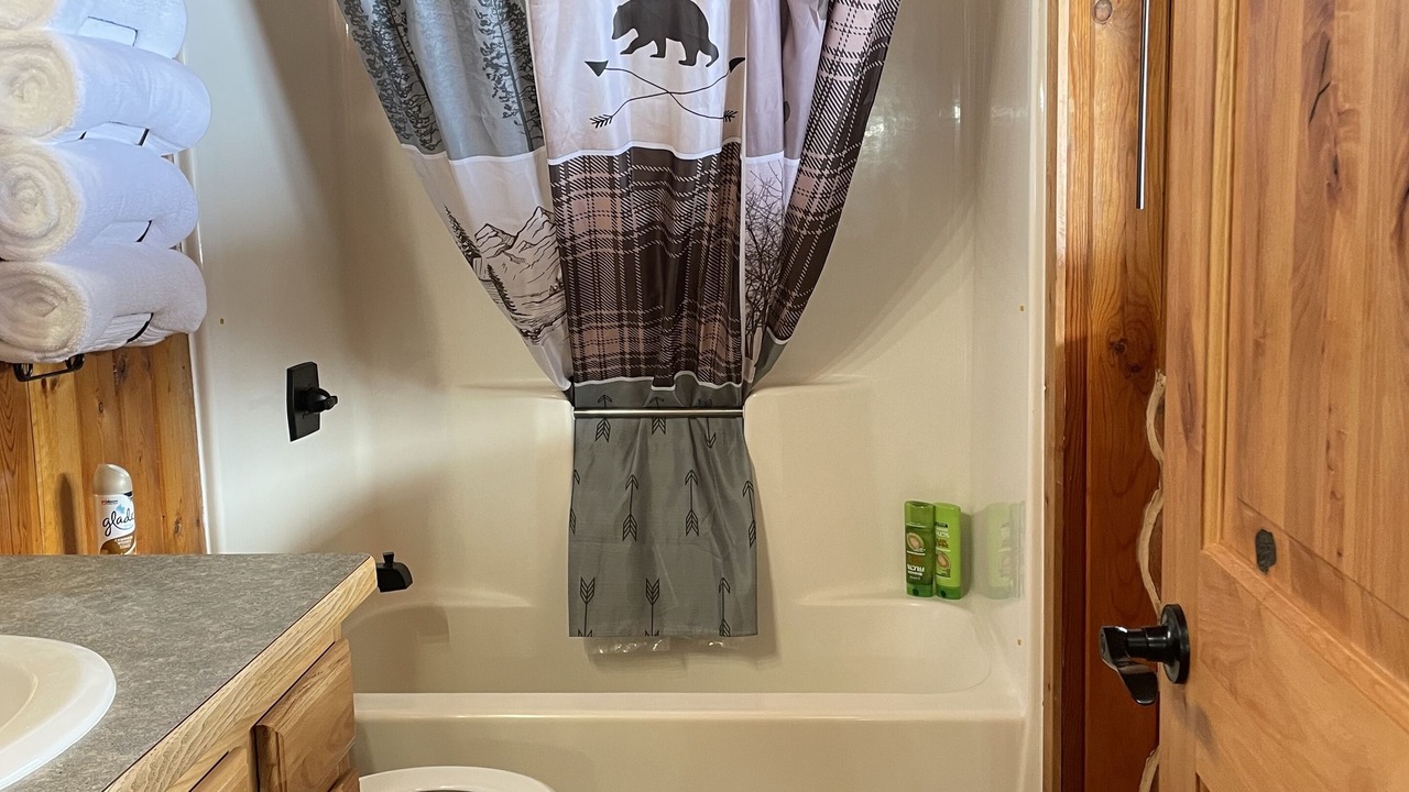 Photo of Bathroom in Seeley Lake