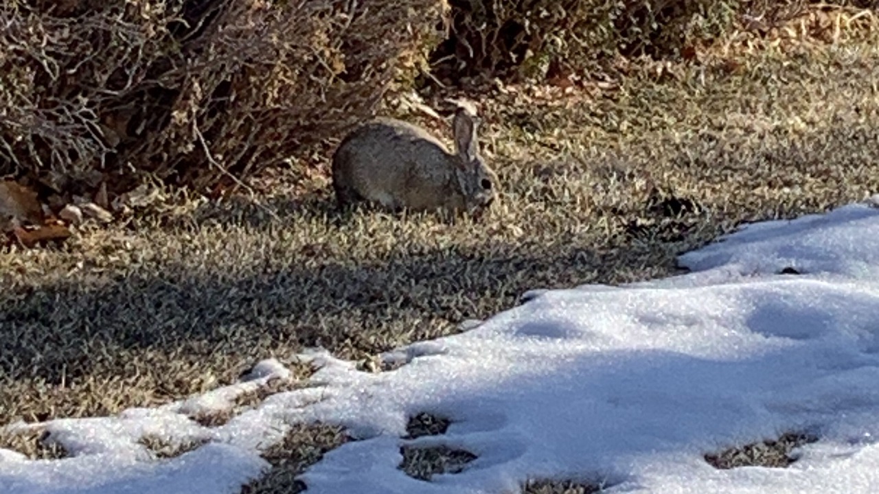 Photo of Outdoor in Billings