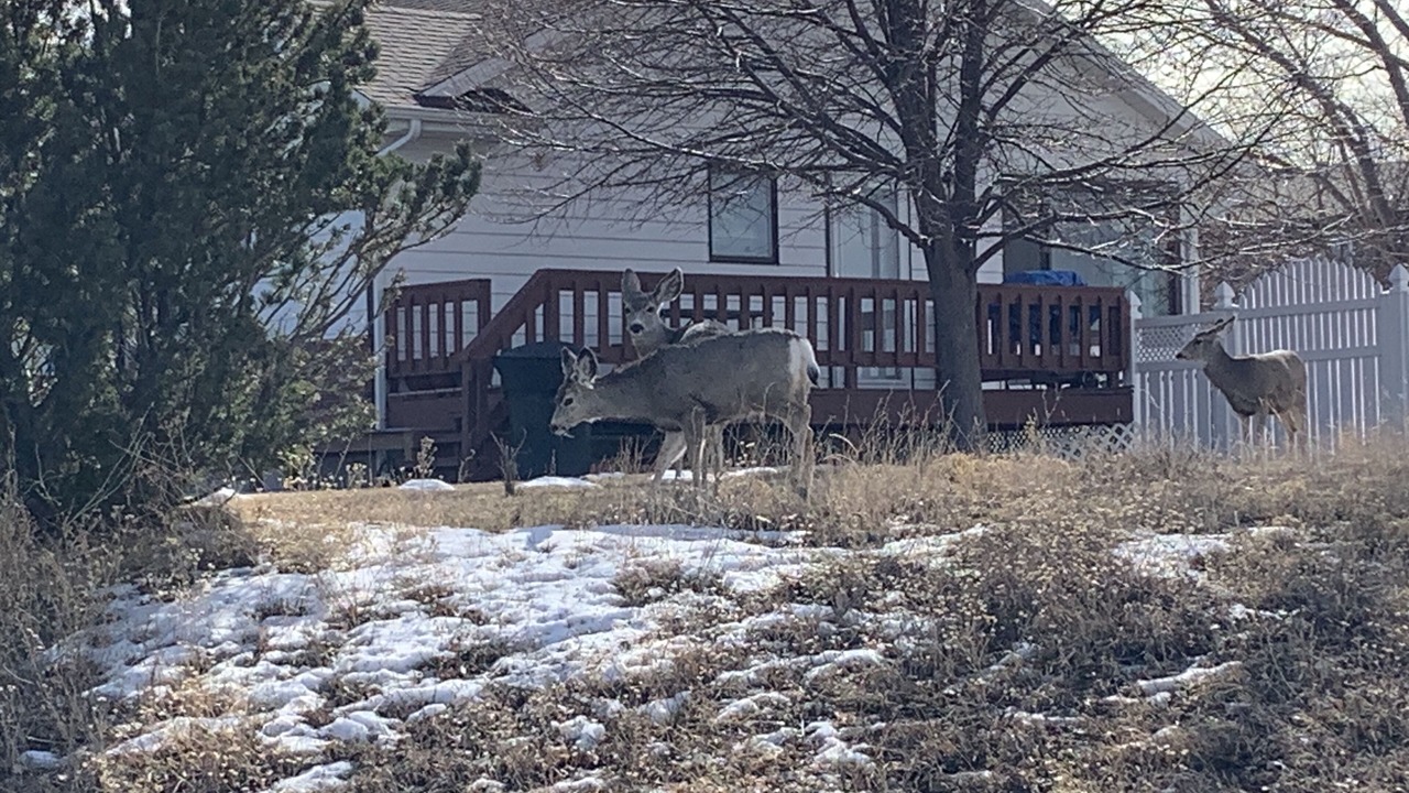Photo of Outdoor in Billings