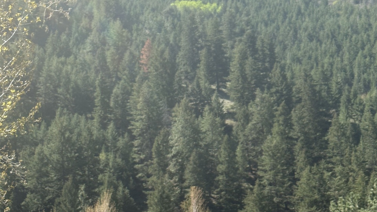 Photo of Outdoor in Missoula