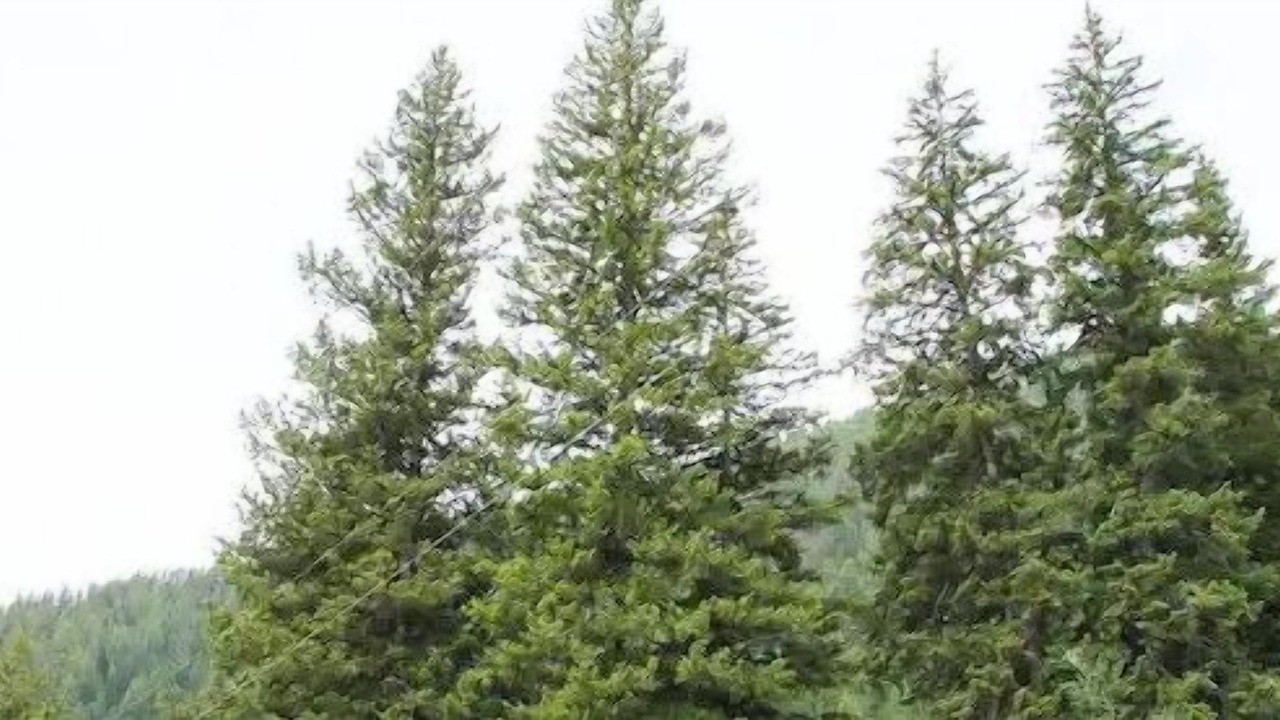 Photo of Outdoor in Gallatin Gateway