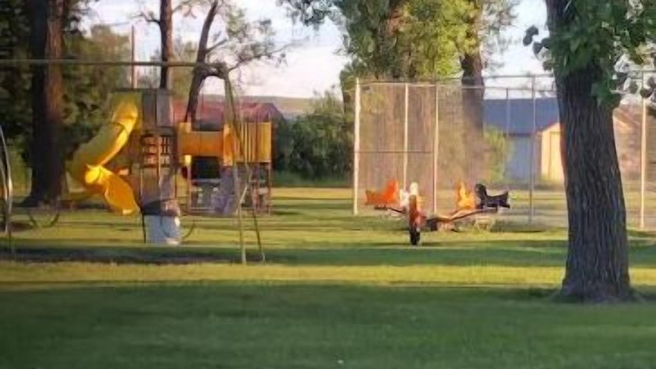 Photo of Outdoor in Simms
