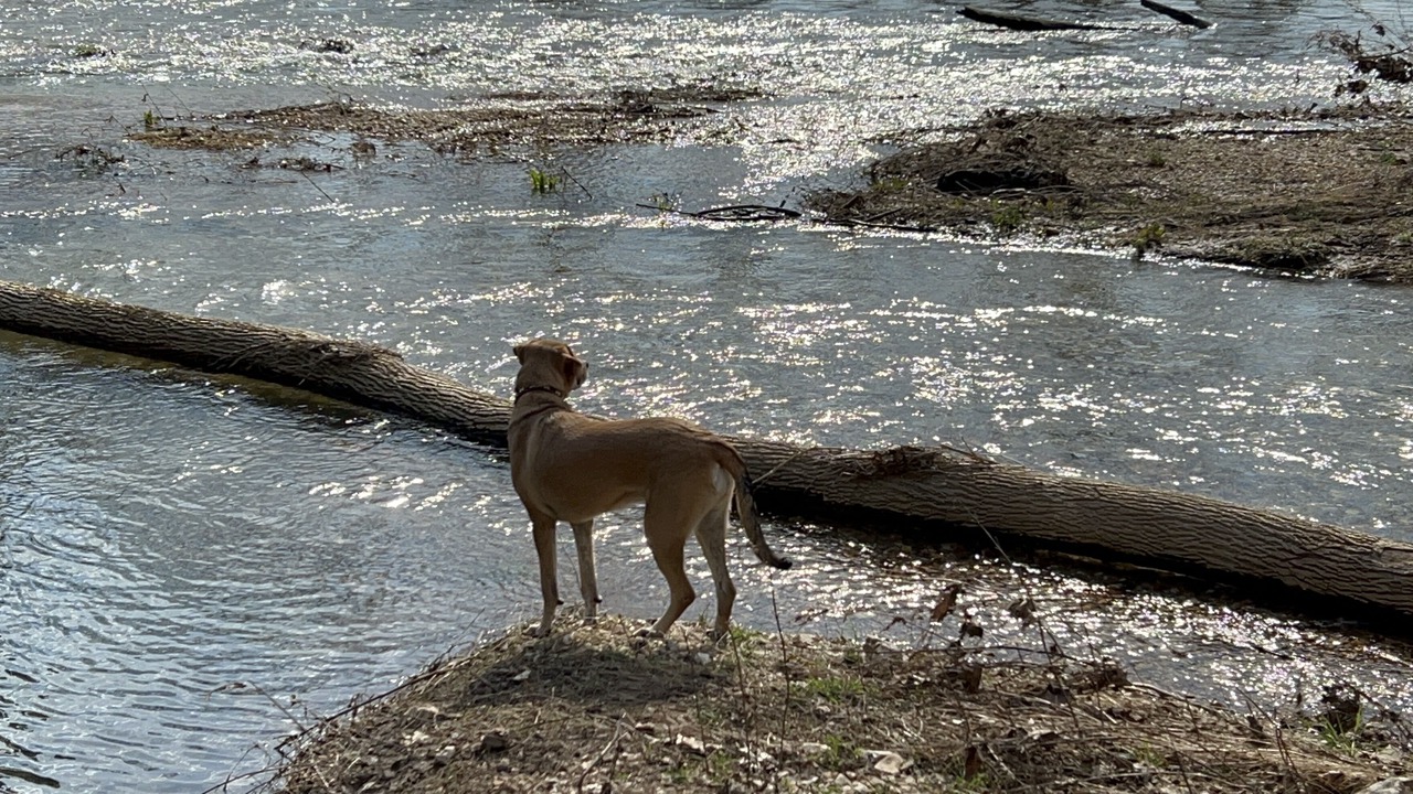 Photo of Others in West Siloam Springs