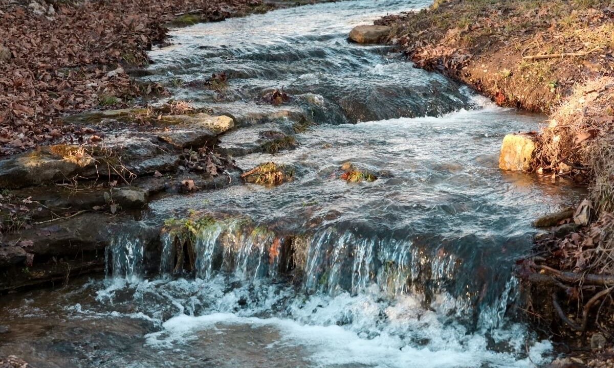 Photo of Others in West Siloam Springs