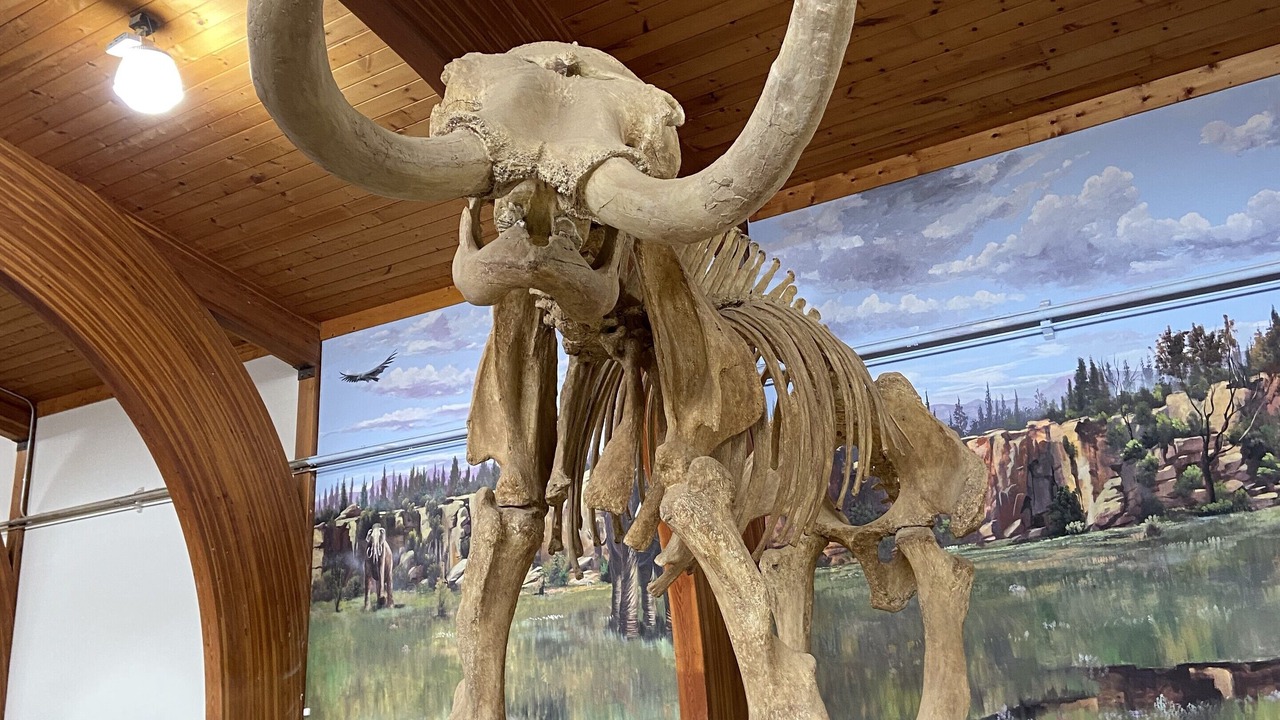 Photo of Others in Custer