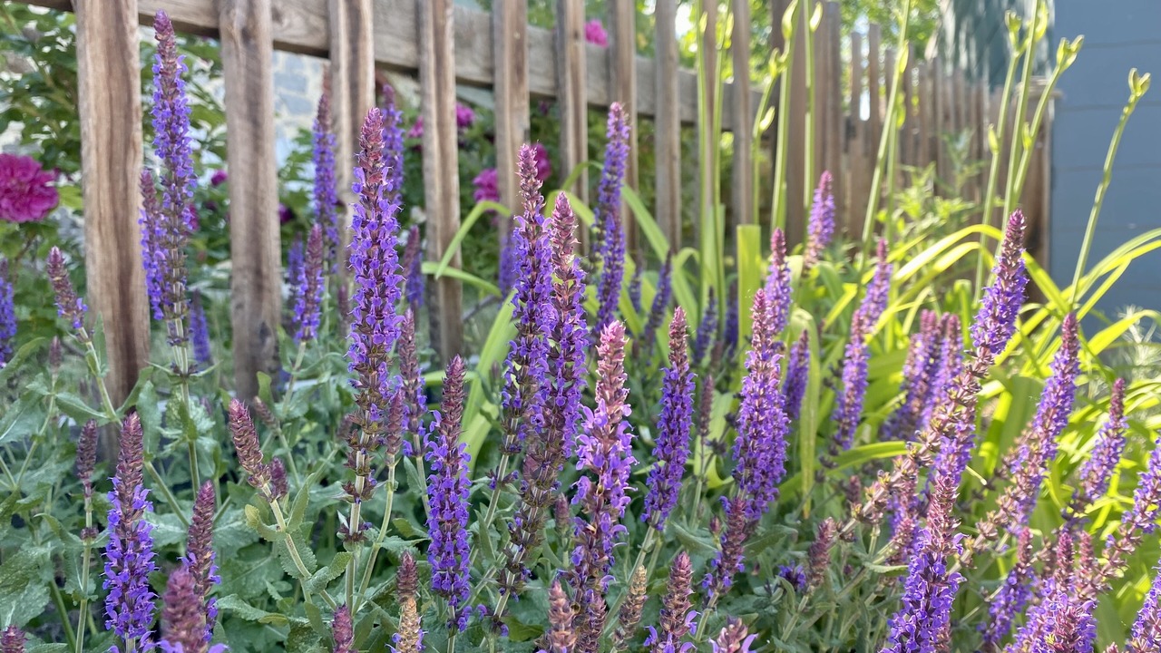 Photo of Outdoor in Helena