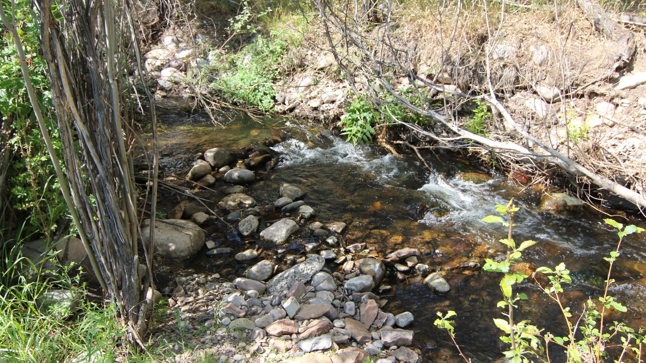 Photo of Outdoor in Challis