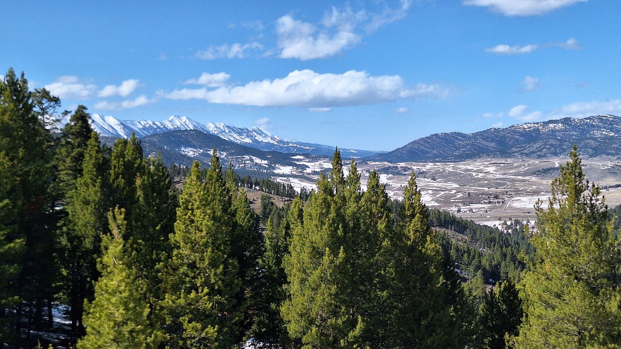 Photo of Others in Bozeman
