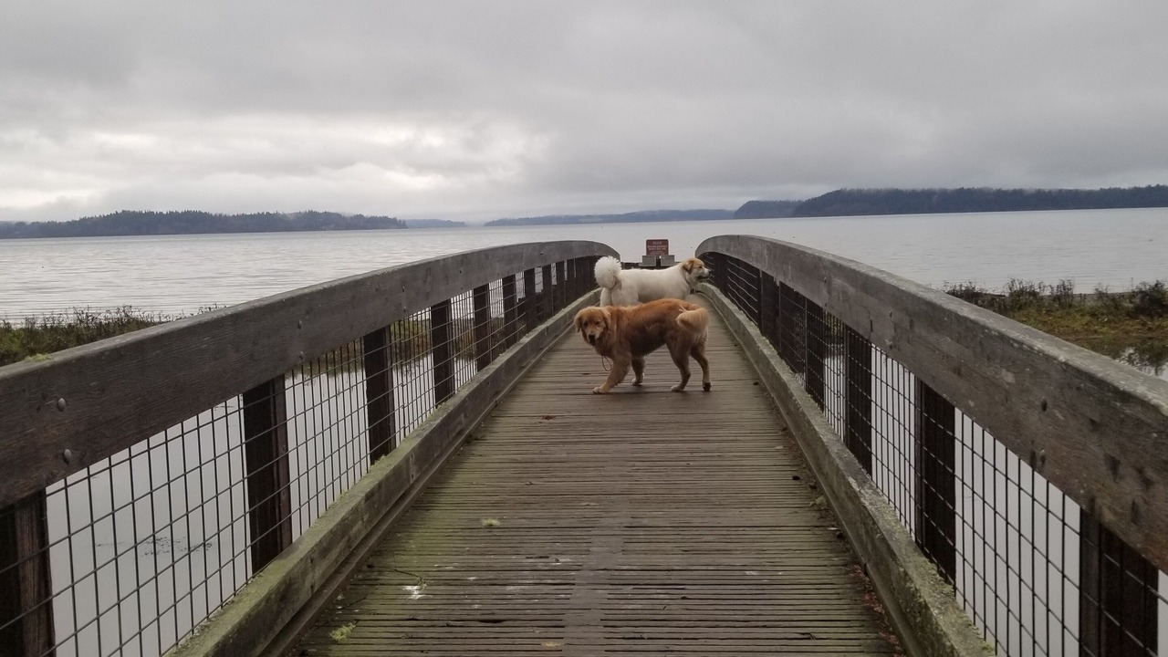 Photo of Others in Lacey