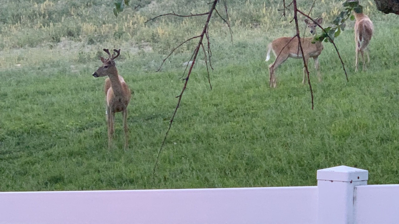 Photo of Others in Kalispell