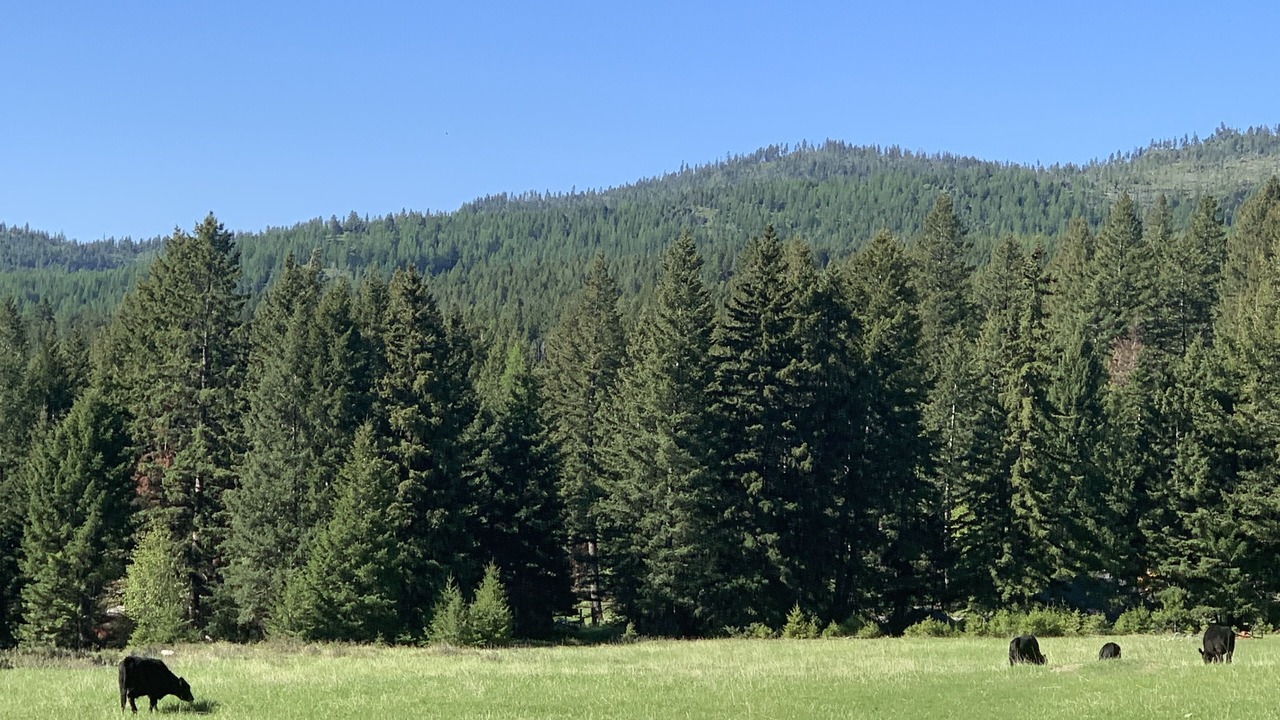 Photo of Others in Kalispell