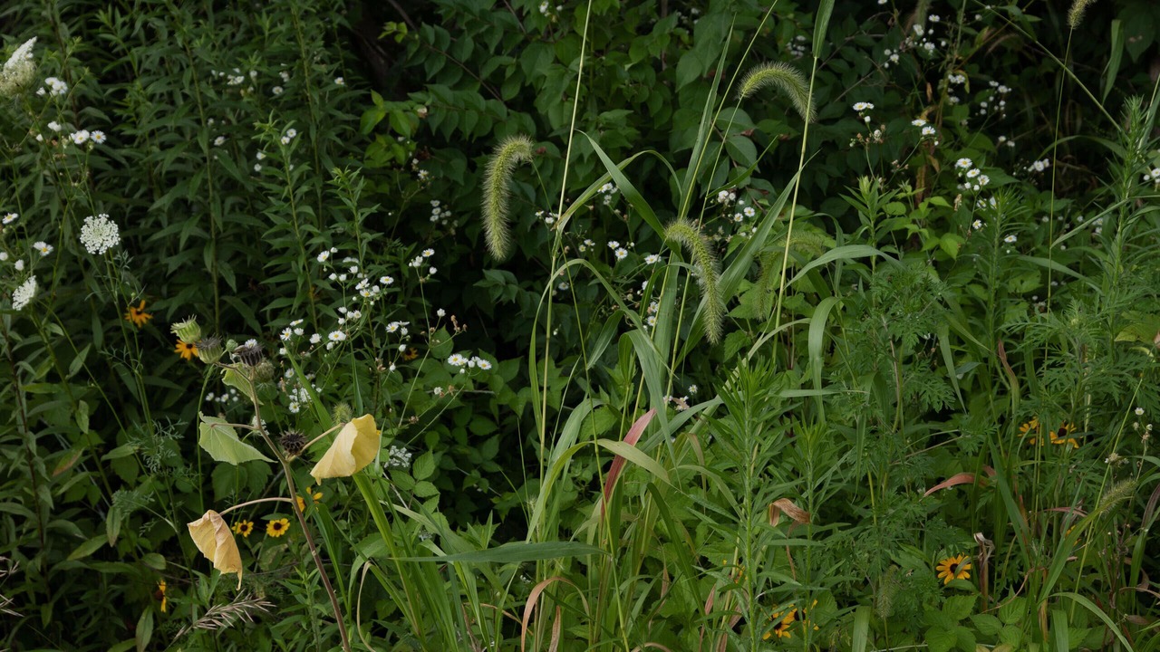 Photo of Outdoor in Stockwell