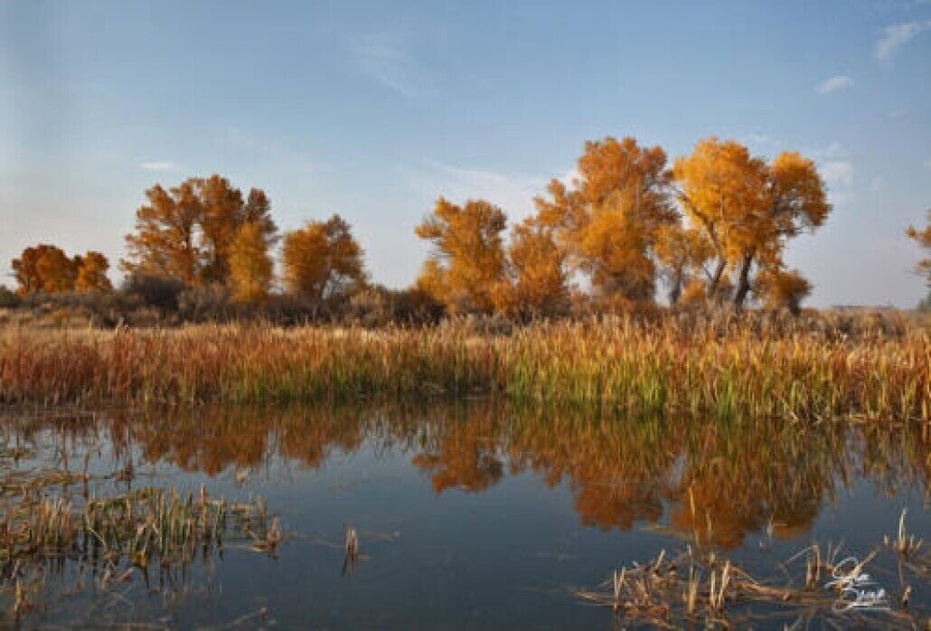 Photo of Others in Riverton