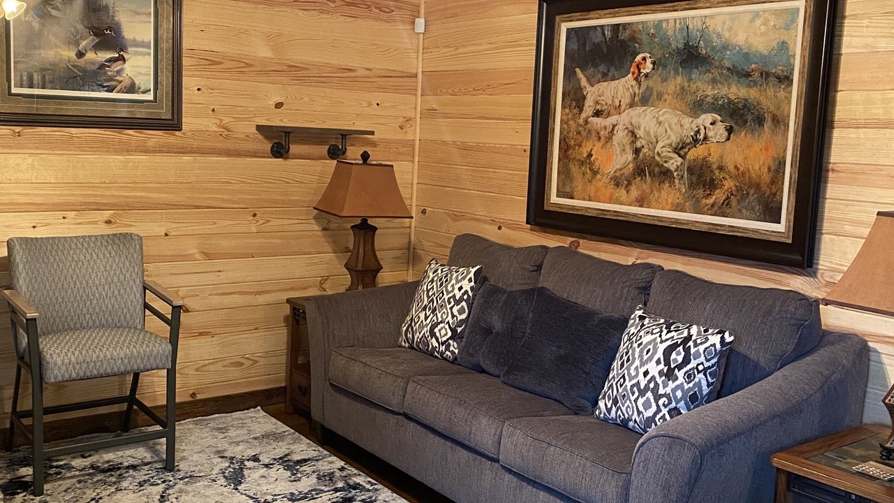 Photo of Livingroom in Sardis