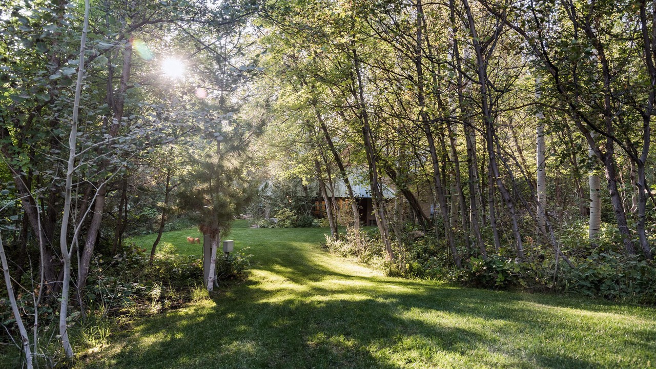 Photo of Outdoor in Mount Pleasant