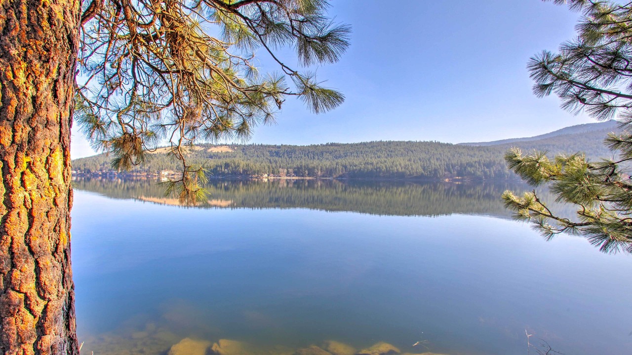 Photo of Others in Liberty Lake