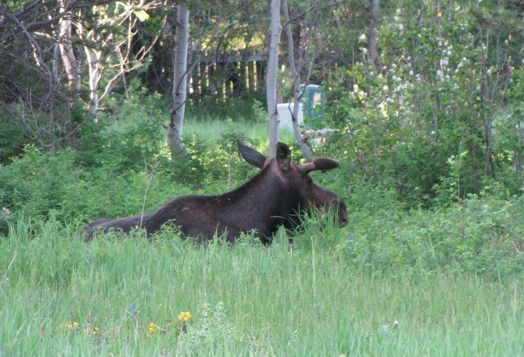 Photo of Others in Teton Pines