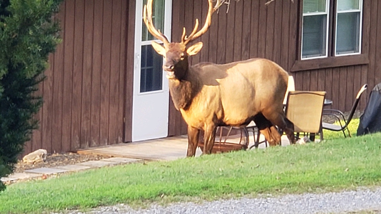 Photo of Outdoor in Force