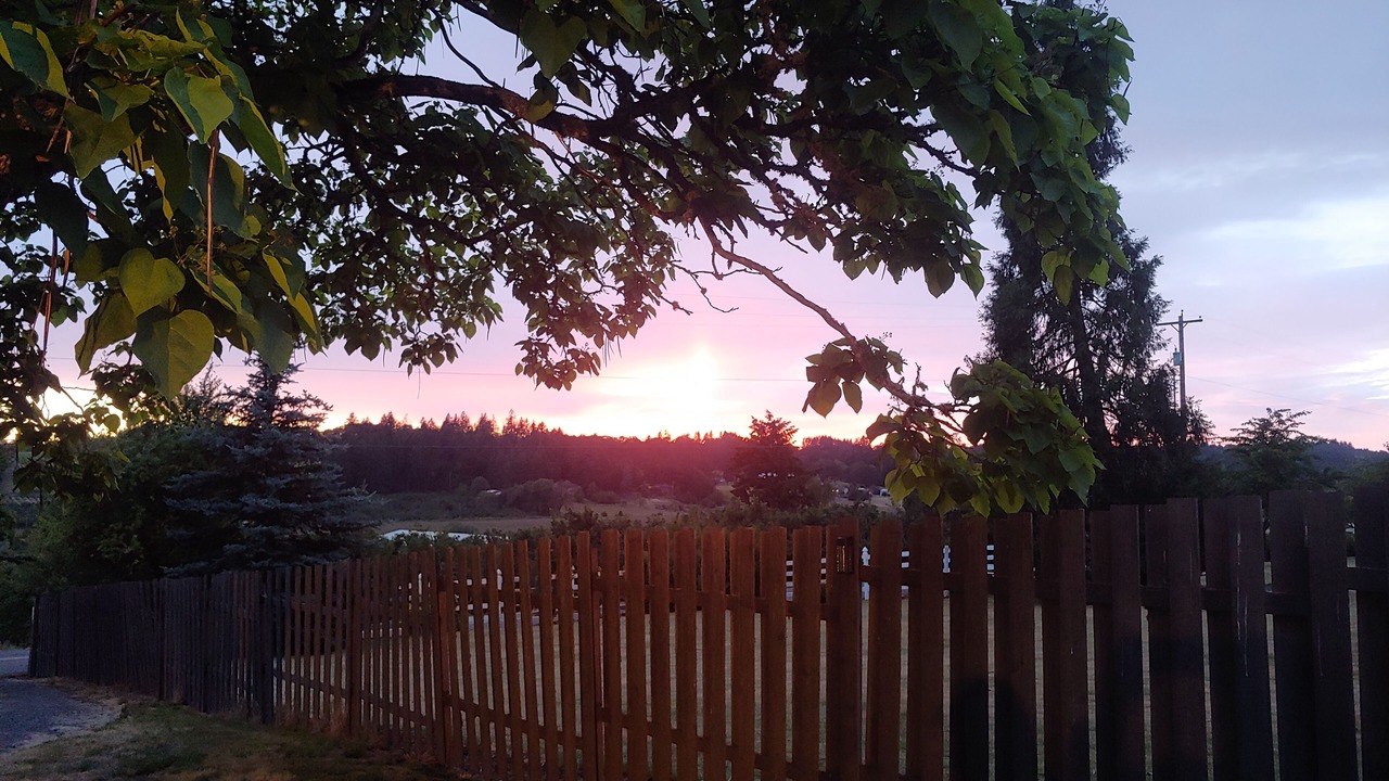 Photo of Others in Newberg