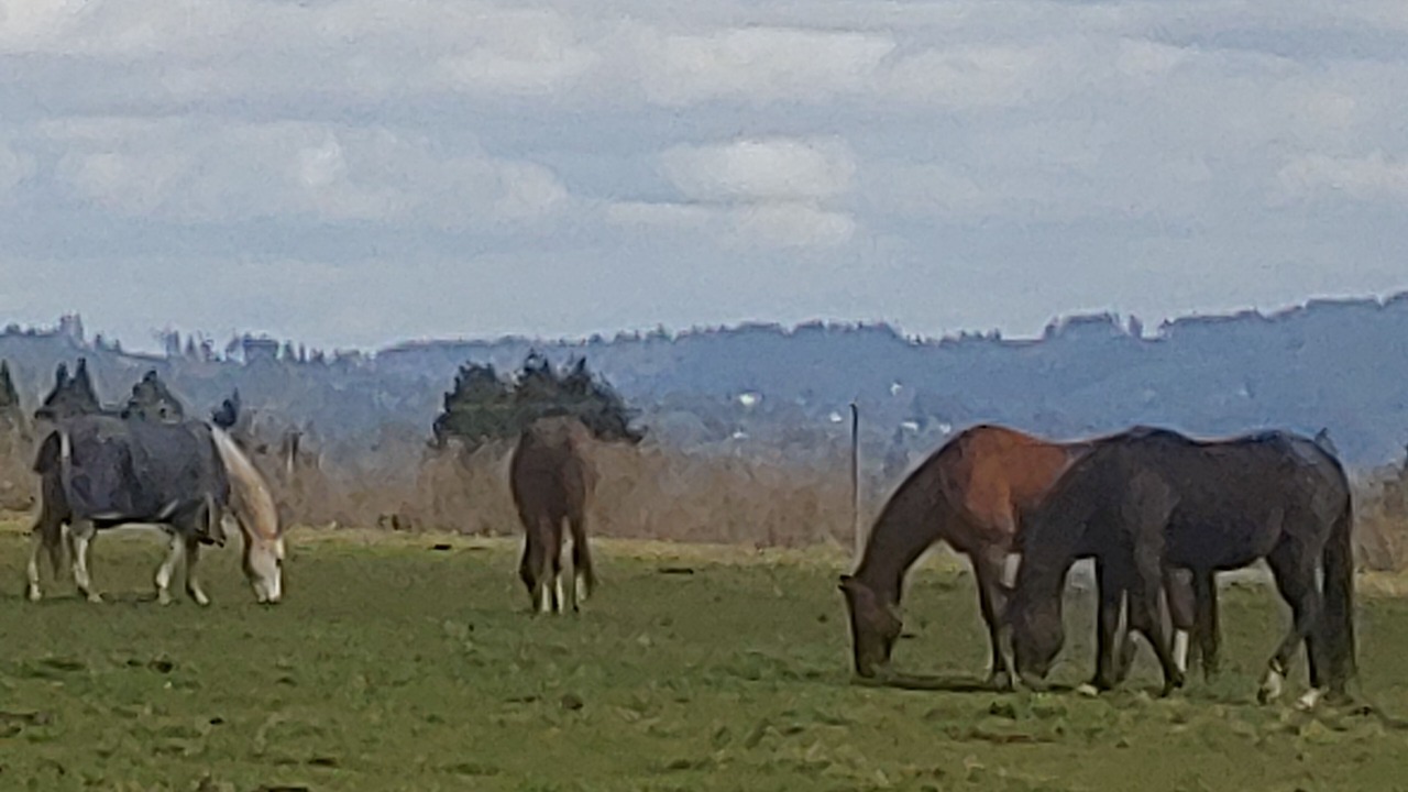 Photo of Others in Newberg